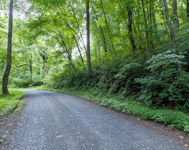 0 Friendly Ln unit 624782, Stanley, VA 22851 - photo 3