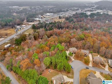 211 Mountain Lake Trail, Alabaster, AL 35007 - photo 6