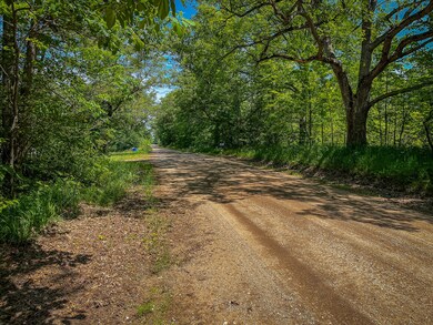 IMG_9041