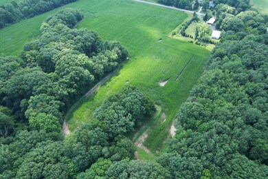 8499 Kruger Rd Rd, Three Oaks, MI 49128 - photo 6