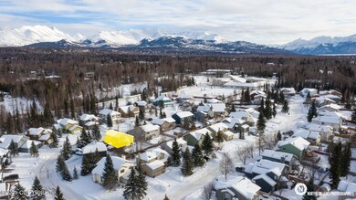 Aerial_2