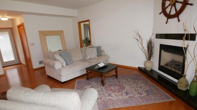 Gas fireplace