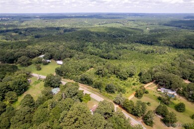 927 Highway 166, Elba, AL 36323 - photo 4