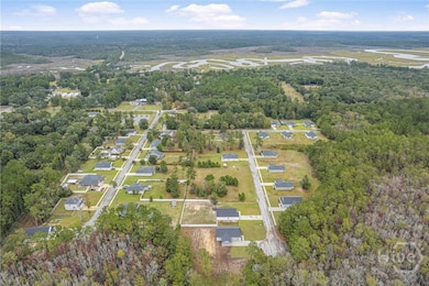 1138 Hanover Ln, Townsend, GA 31331 - photo 2