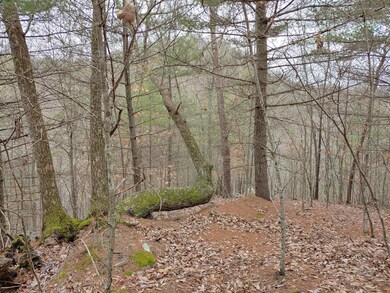 0104211116_HDR