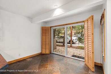 814 W Bleeker St unit E5, Aspen, CO 81611 - photo 6