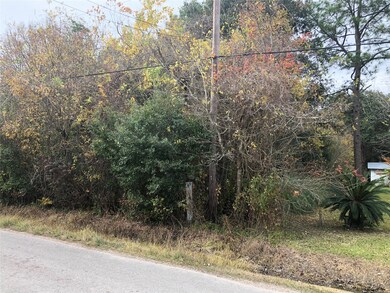 0 Rymal, Alvin, TX 77511 - photo 3