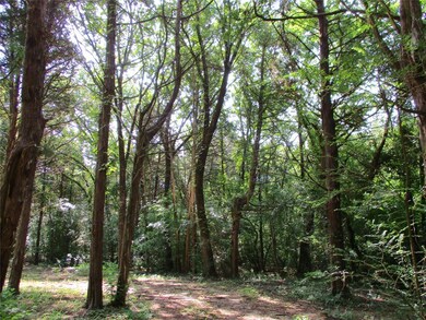 6904 Circle Dr, Bonham, TX 75418 - photo 4