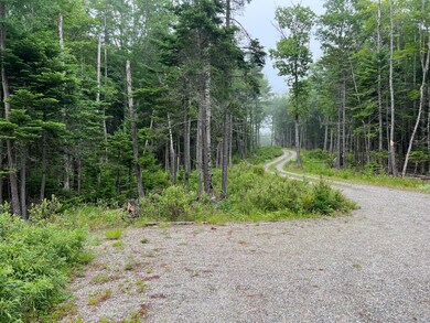 Lot 3 Bluff Rd Bar Harbor 6
