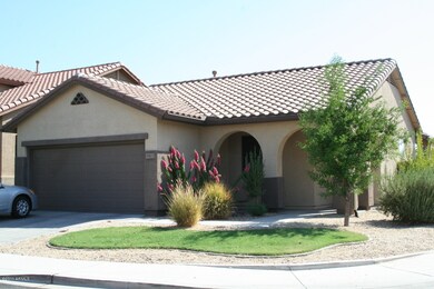 Front Yard