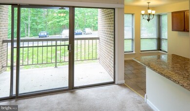 11216 Chestnut Grove Square unit 119, Reston, VA 20190 - photo 7