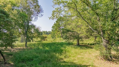 dji_fly_20250904_104226_0217_17570120668