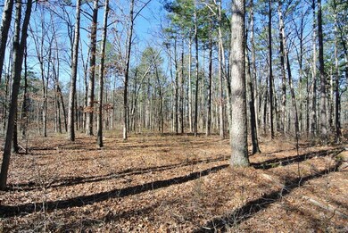 0 Pp Hwy unit 3 19028457, Poplar Bluff, MO 63901 - photo 7