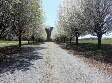 Gorgeous Entrance especially in the spring with th