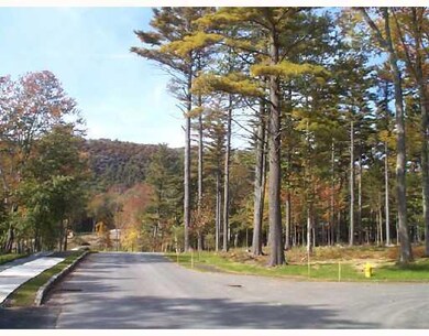 Other. Long view of lot with Mount...