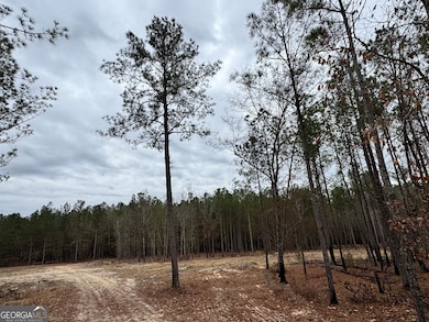 0 Bastonville Rd unit 10627311, Gibson, GA 30810 - photo 4