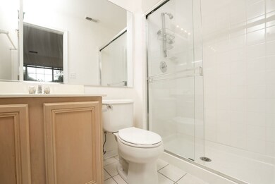 9339 Harrison St unit 471493, Des Plaines, IL 60016 - photo 6