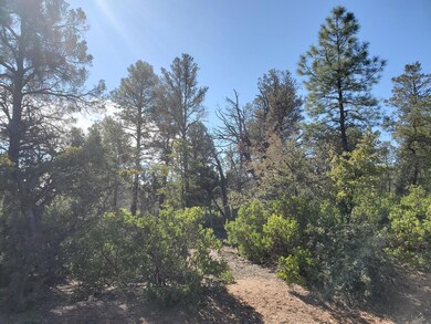Foothills 4