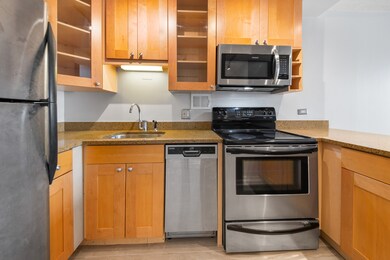 450 W Briar Place unit 4L, Chicago, IL 60657 - photo 4
