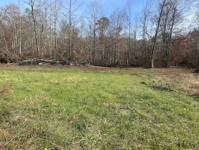 0 Sulphur Creek Rd unit RTC3044976, Big Sandy, TN 38221 - photo 4