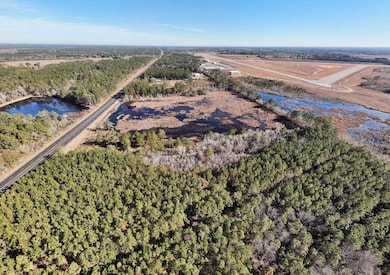 xx Ga Hwy 319 N, Other Georgia, GA 31768 - photo 3