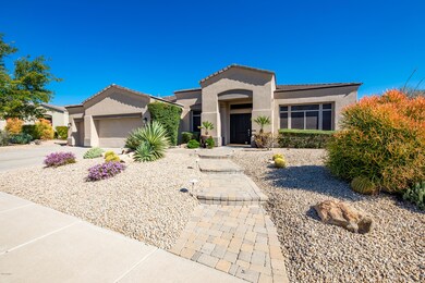 Meticulous Desert Landscape