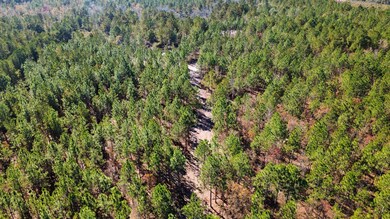 0 Dowd Dairy Rd, White Oak, NC 28399 - photo 5