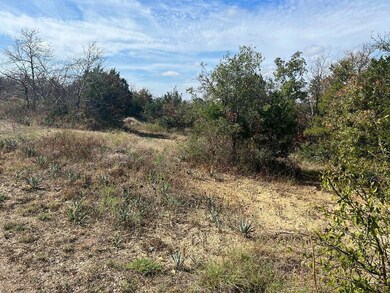 1300 Cliff Manor St, Azle, TX 76020 - photo 7