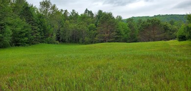 160 Bear Ridge Rd unit 2, Burke, VT 05871 - photo 5