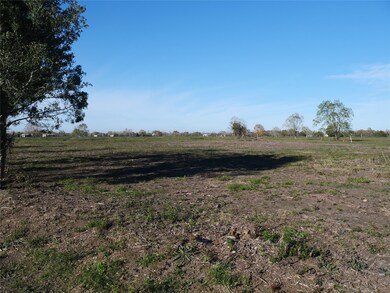 010 County Road 158, Alvin, TX 77511 - photo 2