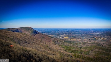 9323 Highway 52, Chatsworth, GA 30705 - photo 3