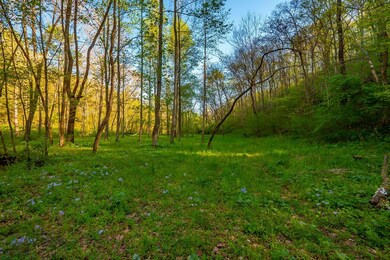 828 Blue Stocking Hllw Rd, Shelbyville, TN 37160 - photo 7