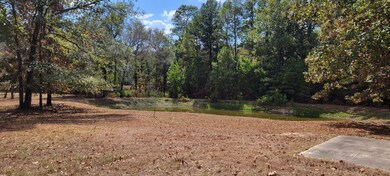 14377 Laramie Trail, Montgomery, TX 77316 - photo 4