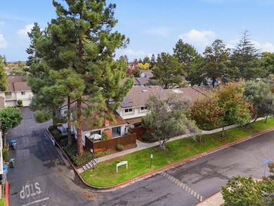 10969 Northshore Square, Cupertino, CA 95014 - photo 6