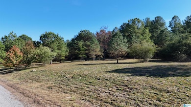 761 County Road 31, Hanceville, AL 35077 - photo 5