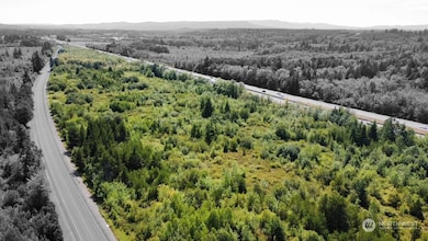 108 Camus Rd, Winlock, WA 98596 - photo 6