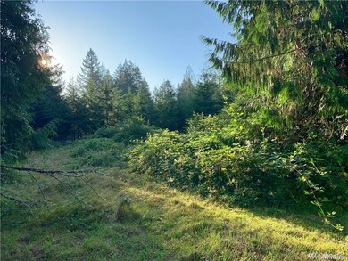 152 Pascoe Ave, Chehalis, WA 98532 - photo 6