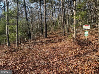 0 Rd unit WVHS2007092, Capon Bridge, WV 26711 - photo 2