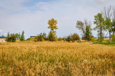 716 Palisade Trail, Driggs, ID 83422 - photo 4