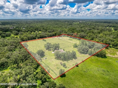 3011 Endsley Rd, Brooksville, FL 34604 - photo 4