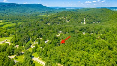 30 Yvonne Cir, Flintstone, GA 30725 - photo 7