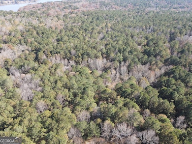 0 Heidi Trl Lot 10, Buckhead, GA 30625 - photo 7