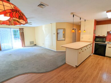 Stoney Creek Condominiums unit 44, Milford, NH 03055 - photo 4