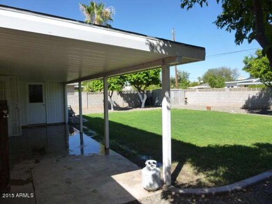 BACKYARD (3)