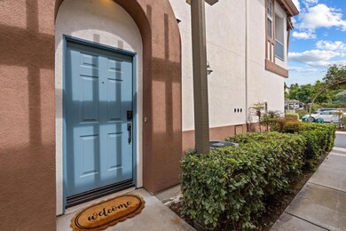 390 Carmel Creeper Place, Encinitas, CA 92024 - photo 3