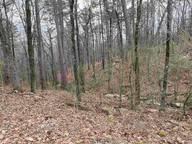 0 Mccall Rd unit 24005759, Heber Springs, AR 72543 - photo 7