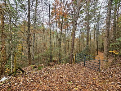 138 Bowater Rd, Tellico Plains, TN 37385 - photo 5