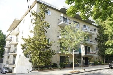 15 Francis St unit 41, Brookline, MA 02446 - photo 4