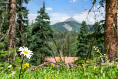 Tract 11 Lime Creek Rd, Durango, CO 81301 - photo 2