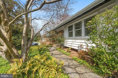 902 Neal Dr, Alexandria, VA 22308 - photo 3